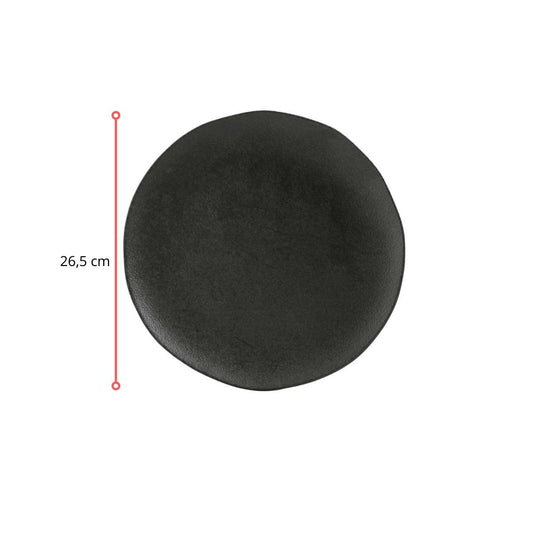 125723 - PRATO RASO ORGÂNICO CARBON - CX 6 PCS